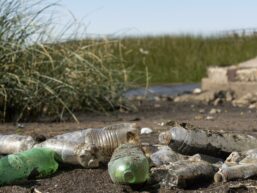 pollution concept water with garbage